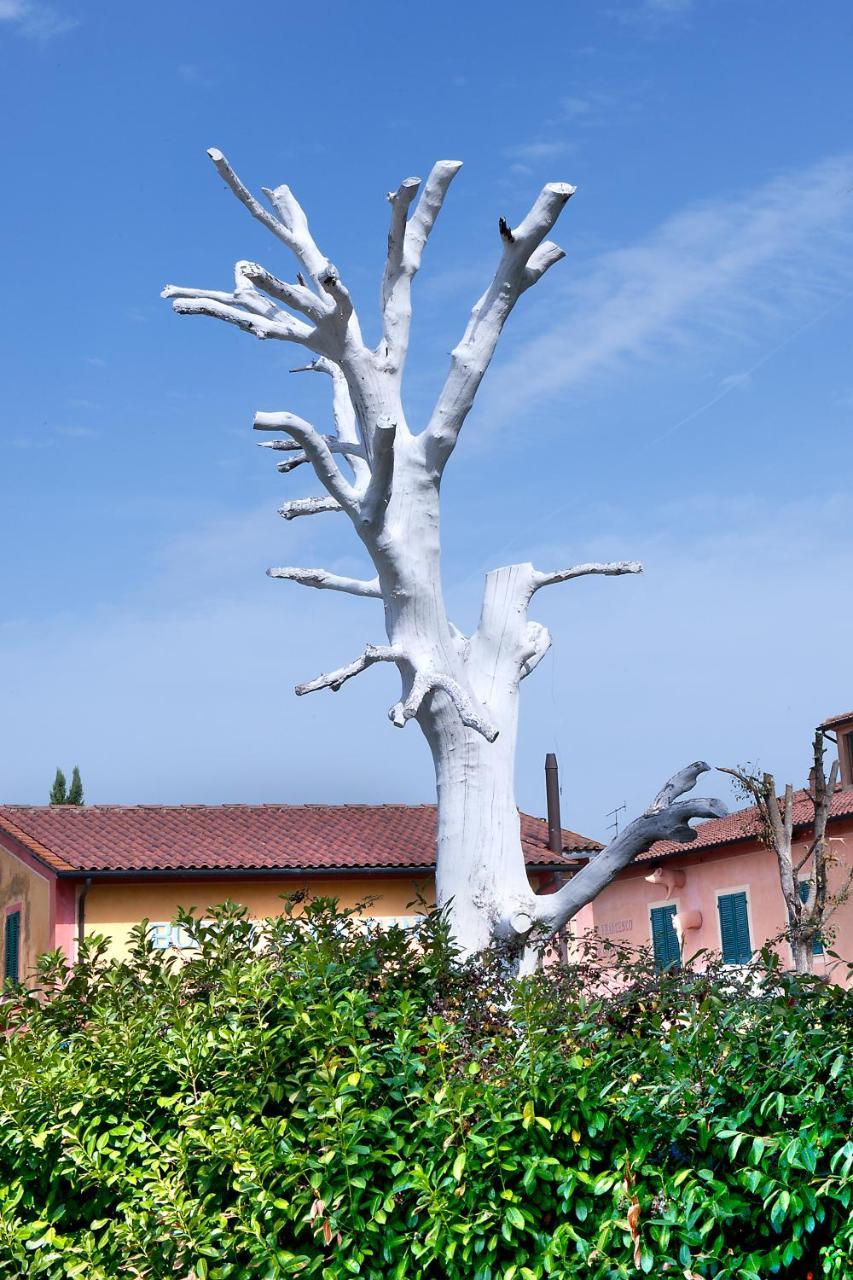 Fattoria Santa Lucia Borgo Alla Cantina San Gervasio Exterior photo